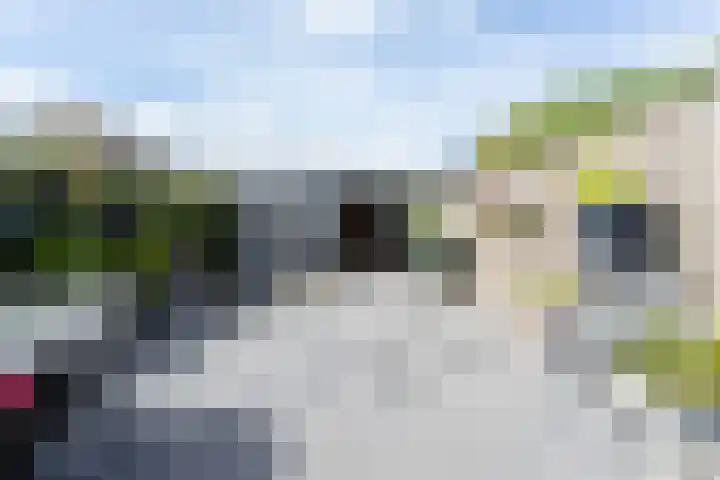 Biezengors 9 Werkendam thumbnail 66