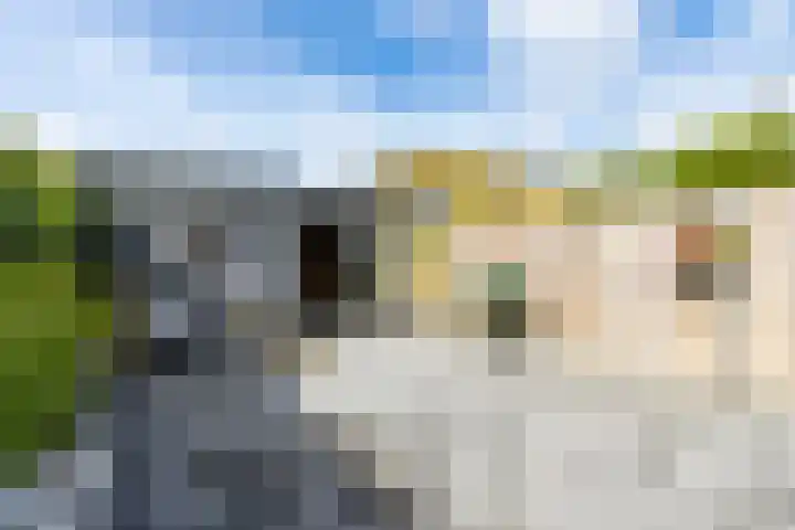 Biezengors 9 Werkendam thumbnail 68