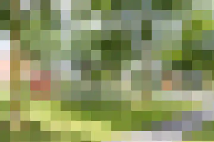 Biezengors 9 Werkendam thumbnail 71