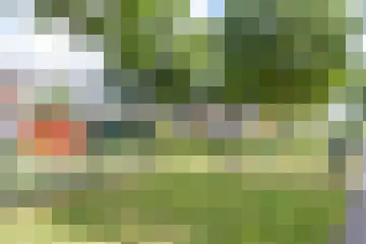 Biezengors 9 Werkendam thumbnail 72