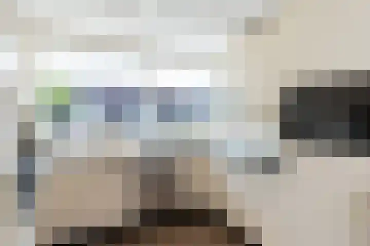 Biezenhaak 7 Papendrecht thumbnail 15