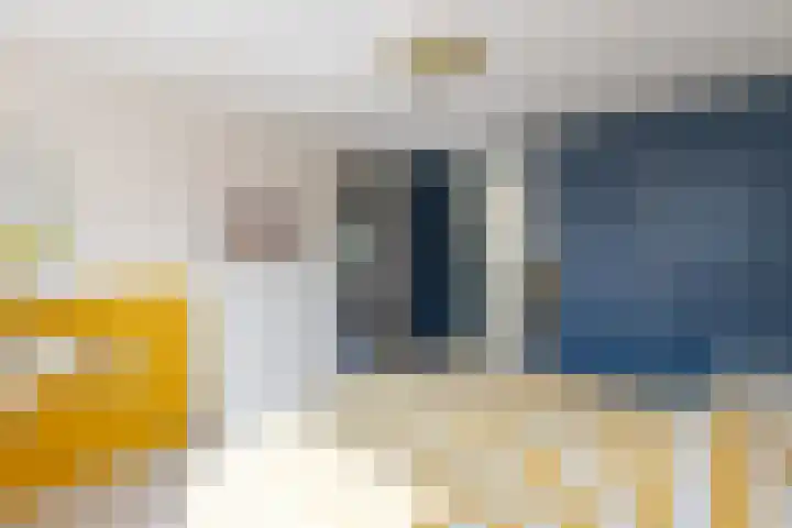 Biezenhaak 7 Papendrecht thumbnail 19