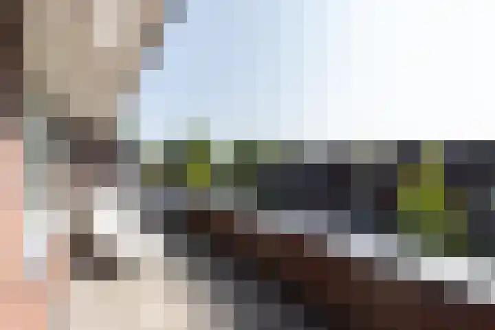 Biezenhaak 7 Papendrecht thumbnail 27