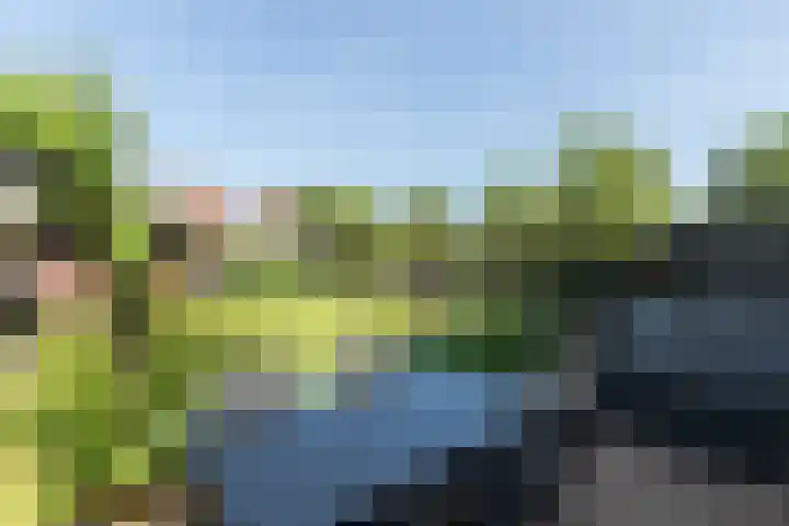 Biezenhaak 7 Papendrecht thumbnail 28