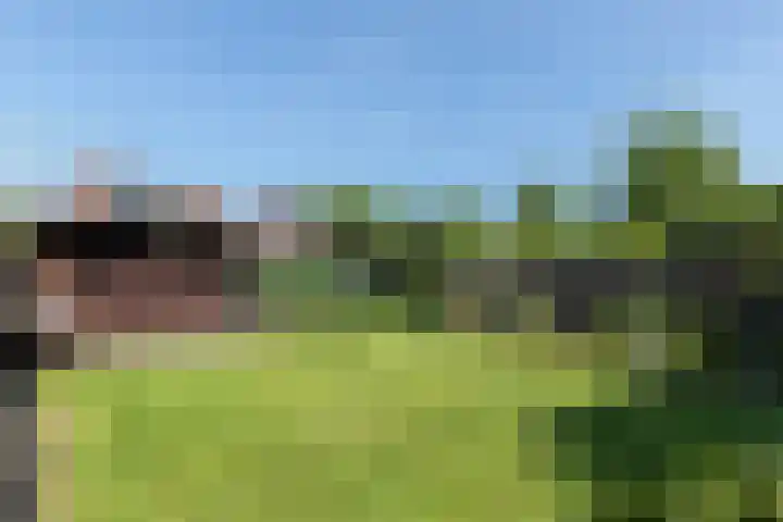 Biezenhaak 7 Papendrecht thumbnail 29
