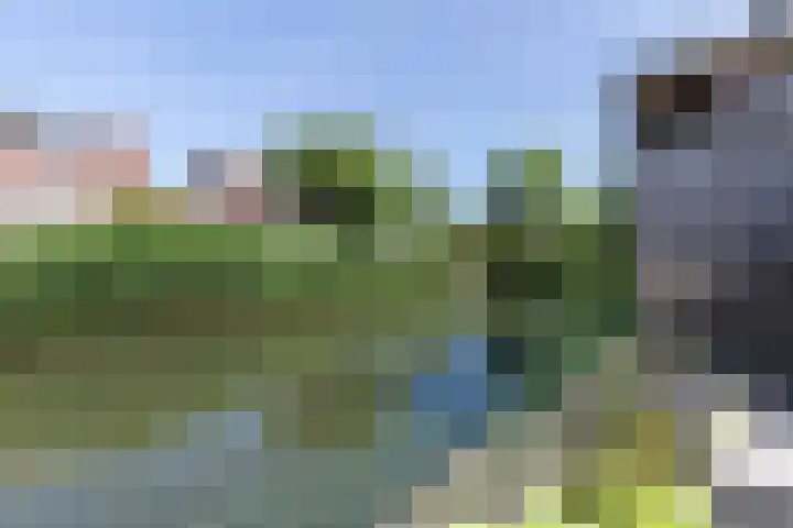 Biezenhaak 7 Papendrecht thumbnail 32