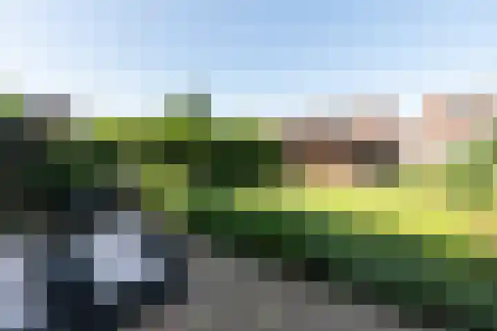 Biezenhaak 7 Papendrecht thumbnail 5