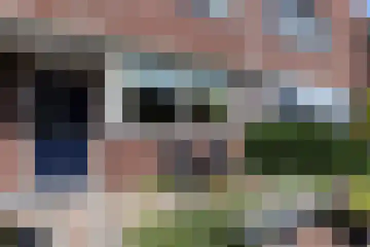 Biezenhaak 7 Papendrecht thumbnail 6