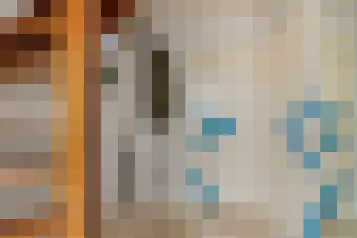 Biezenkamp 10 Scherpenzeel thumbnail 11