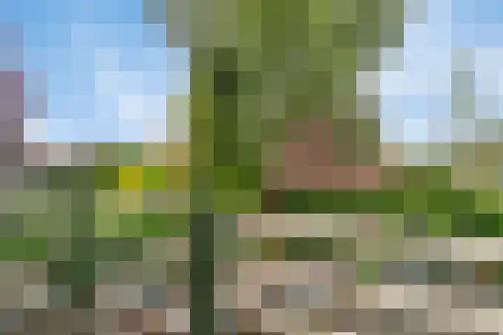 Biezenkamp 10 Scherpenzeel thumbnail 15