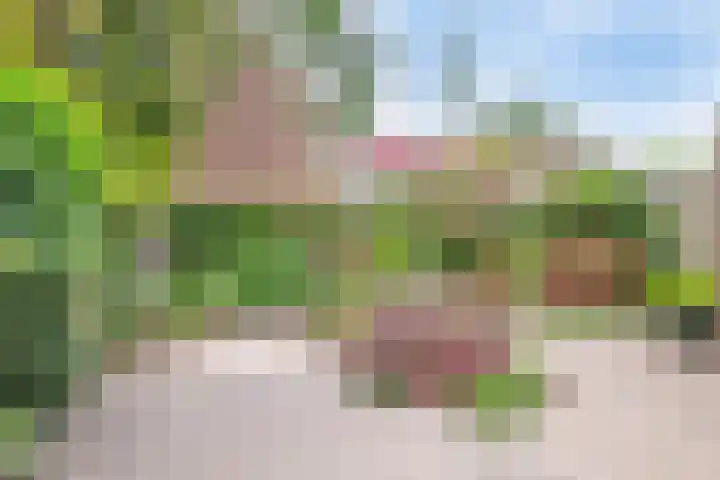 Biezenkamp 10 Scherpenzeel thumbnail 23