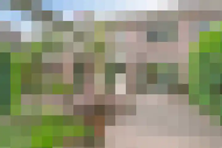 Biezenkamp 10 Scherpenzeel thumbnail 24