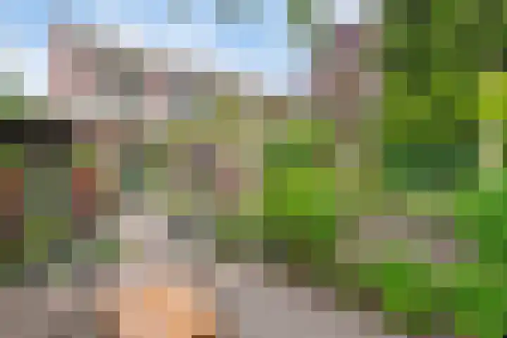 Biezenkamp 10 Scherpenzeel thumbnail 25