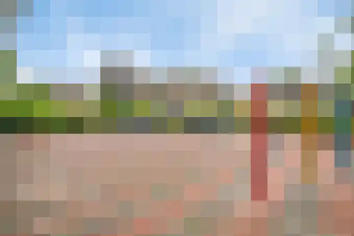 Biezenkamp 10 Scherpenzeel thumbnail 26