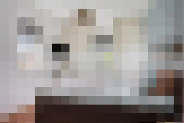 Biezenkamp 15 Wapenveld thumbnail 18