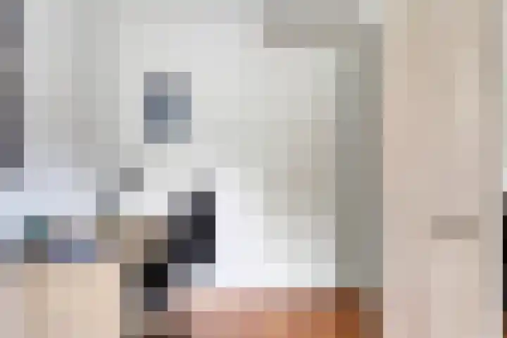 Biezenkamp 15 Wapenveld thumbnail 21