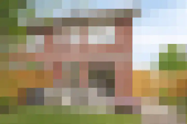 Biezenkamp 15 Wapenveld thumbnail 32