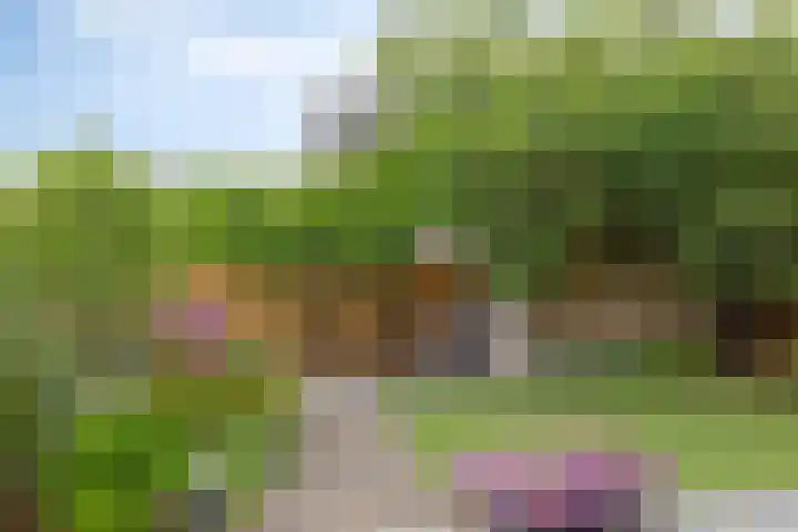 Biezenkamp 15 Wapenveld thumbnail 35