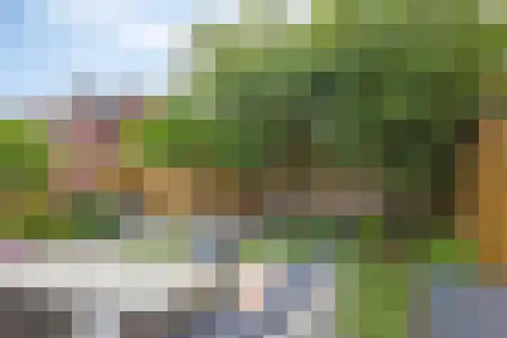 Biezenkamp 15 Wapenveld thumbnail 36