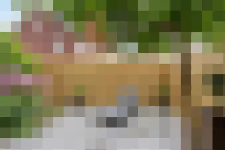 Biezenkamp 15 Wapenveld thumbnail 37