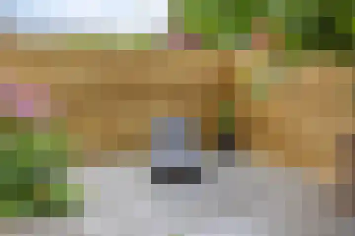 Biezenkamp 15 Wapenveld thumbnail 38