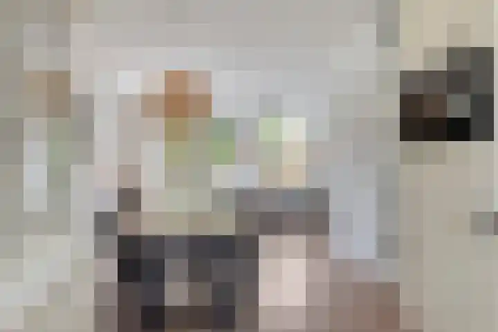 Biezenkamp 15 Wapenveld thumbnail 4