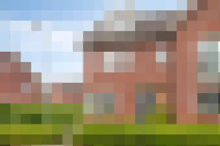 Biezenkamp 15 Wapenveld thumbnail 40