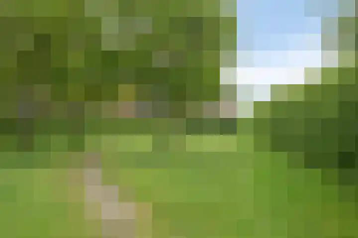 Biezenkamp 15 Wapenveld thumbnail 43