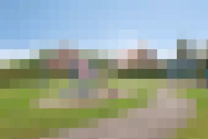 Biezenkamp 15 Wapenveld thumbnail 44