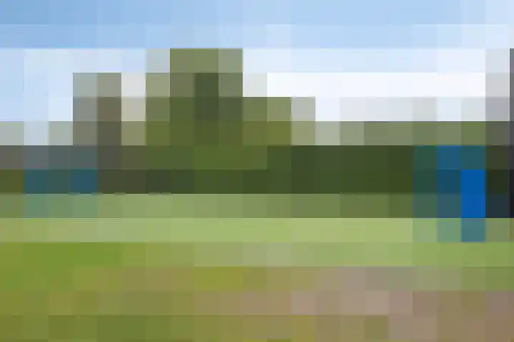 Biezenkamp 15 Wapenveld thumbnail 45