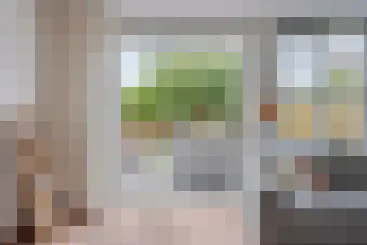 Biezenkamp 15 Wapenveld thumbnail 7
