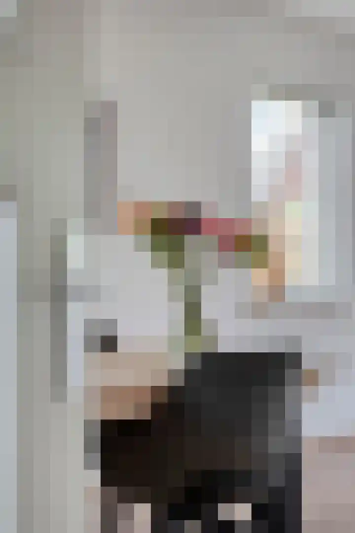 Biezenkamp 15 Wapenveld thumbnail 9