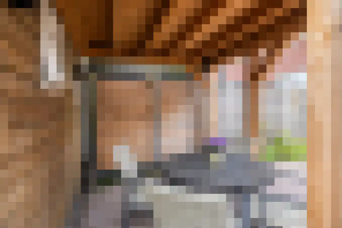 Biezenkamp 23 Wapenveld thumbnail 25