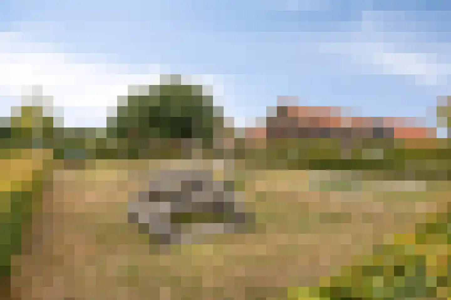 Biezenkamp 23 Wapenveld thumbnail 29