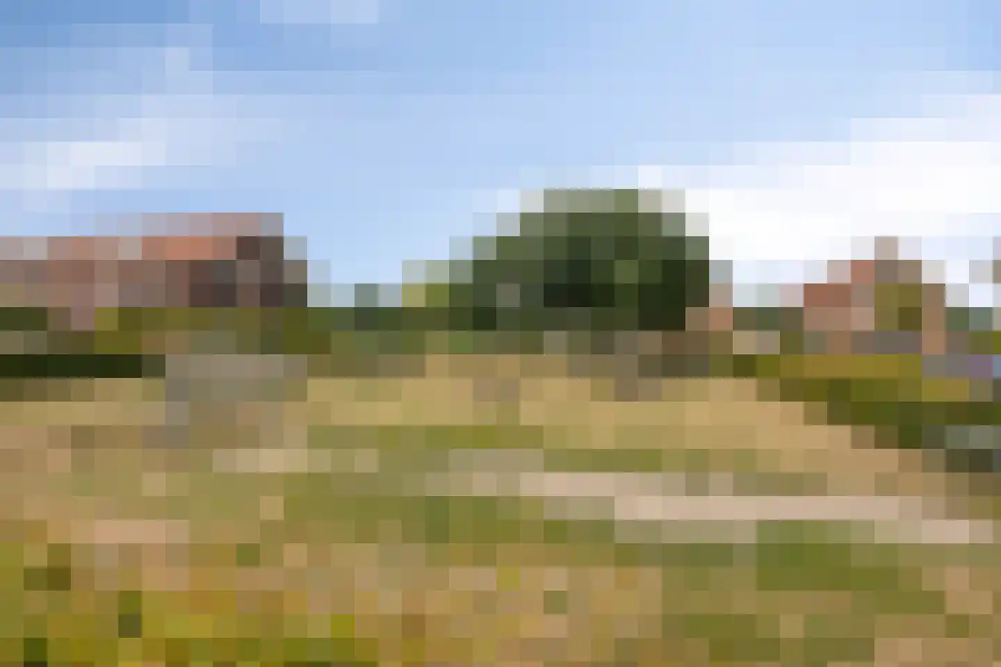 Biezenkamp 23 Wapenveld thumbnail 30