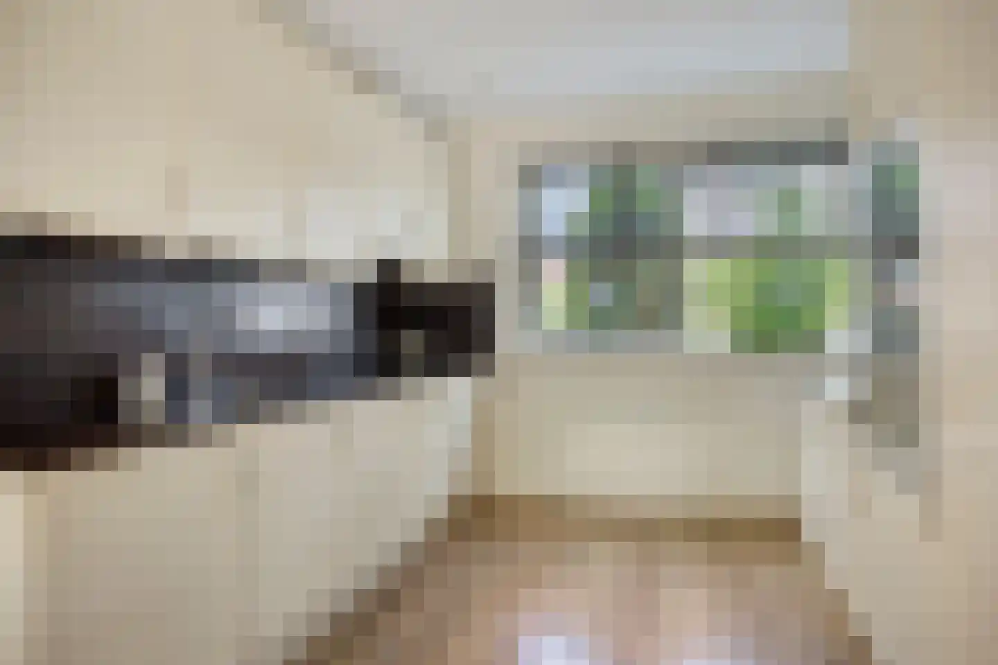 Biezenkamp 23 Wapenveld thumbnail 7
