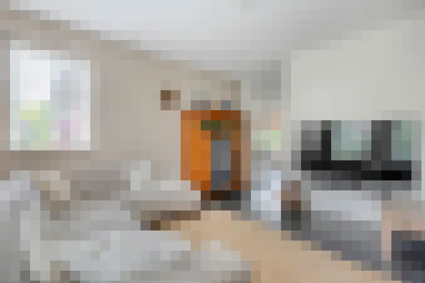 Biezenkamp 37 Oosterwolde thumbnail 19
