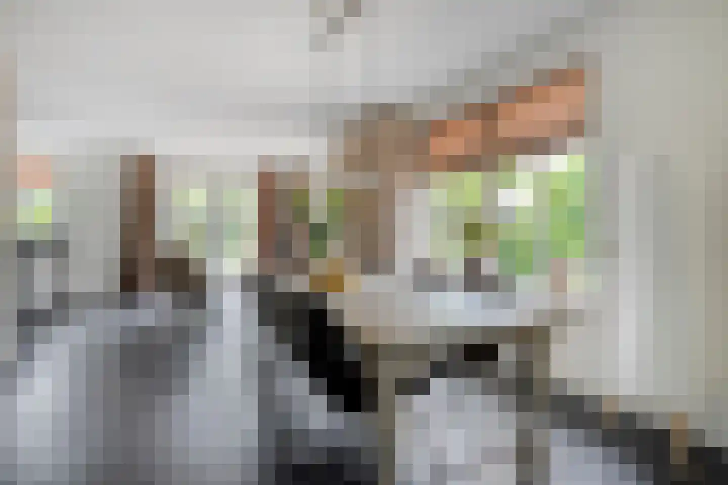 Biezenkamp 37 Oosterwolde thumbnail 25