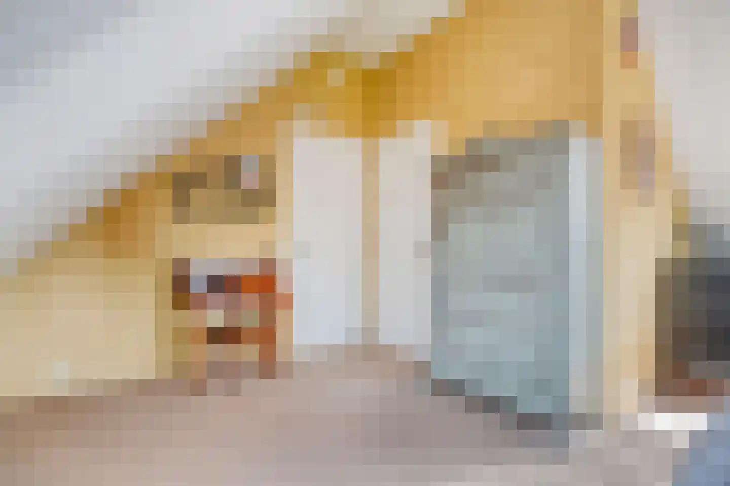 Biezenkamp 37 Oosterwolde thumbnail 37