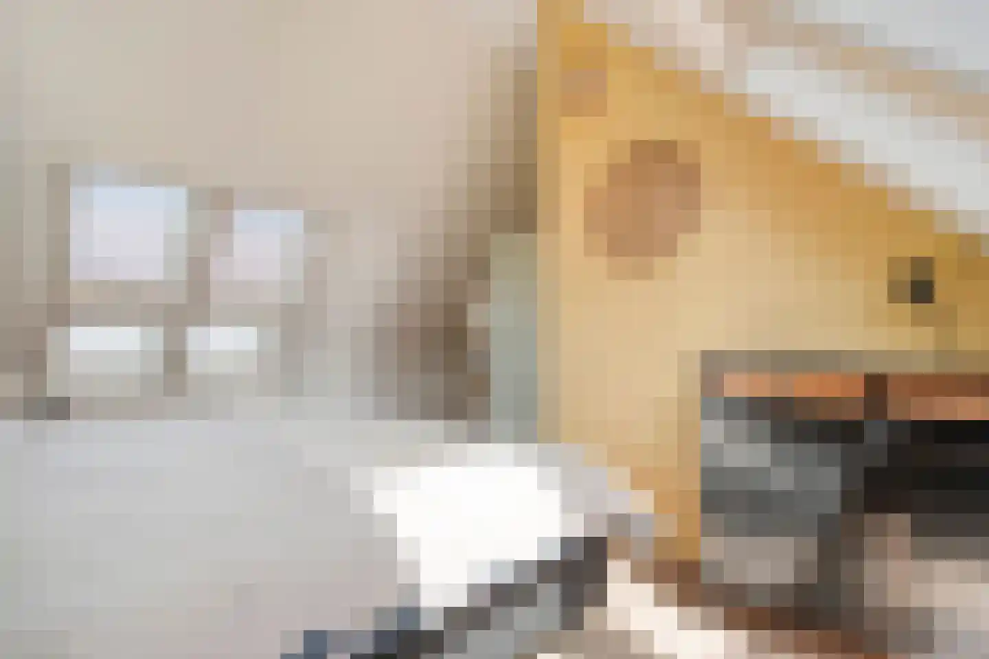 Biezenkamp 37 Oosterwolde thumbnail 38