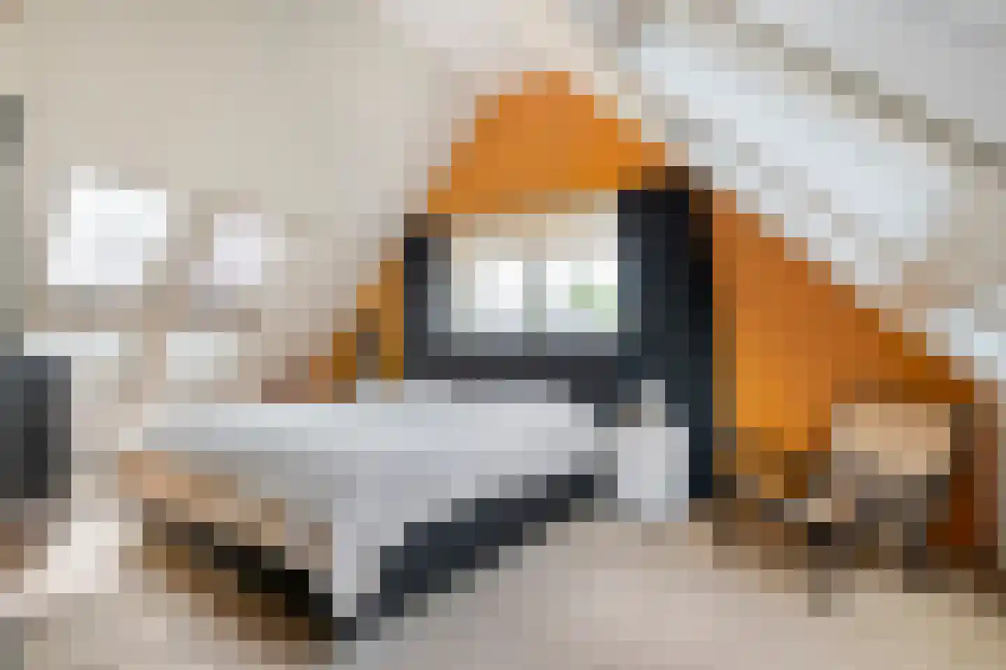 Biezenkamp 37 Oosterwolde thumbnail 43