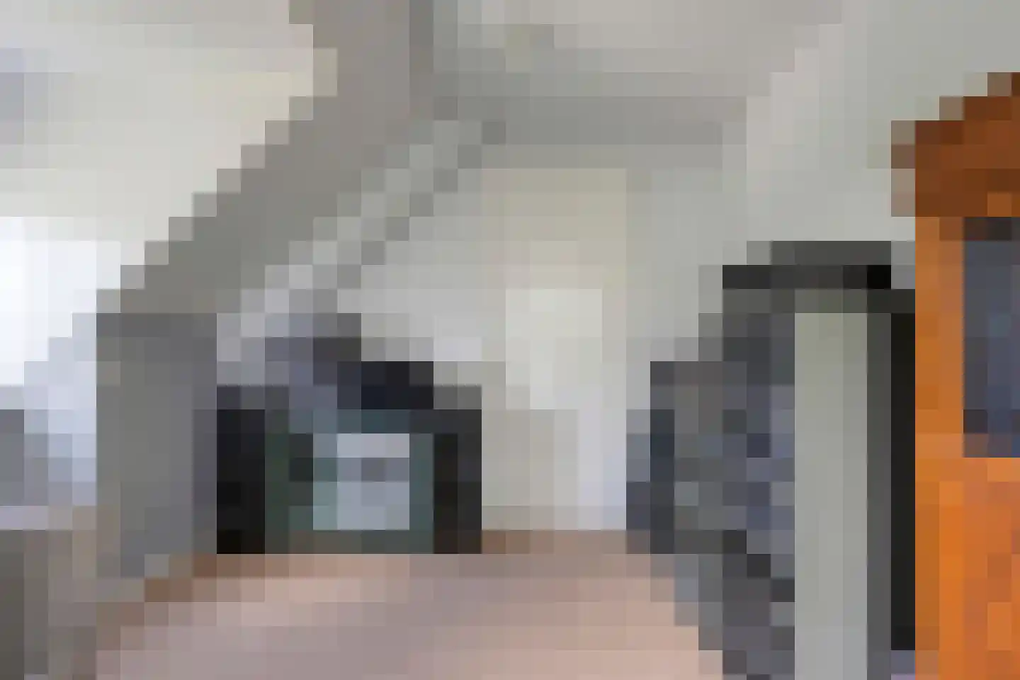 Biezenkamp 37 Oosterwolde thumbnail 45