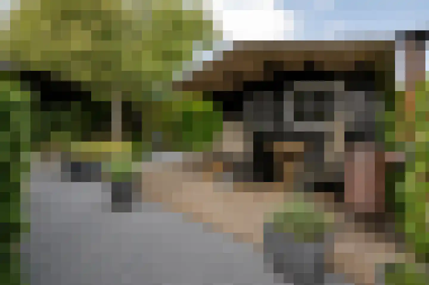 Biezenkamp 37 Oosterwolde thumbnail 61