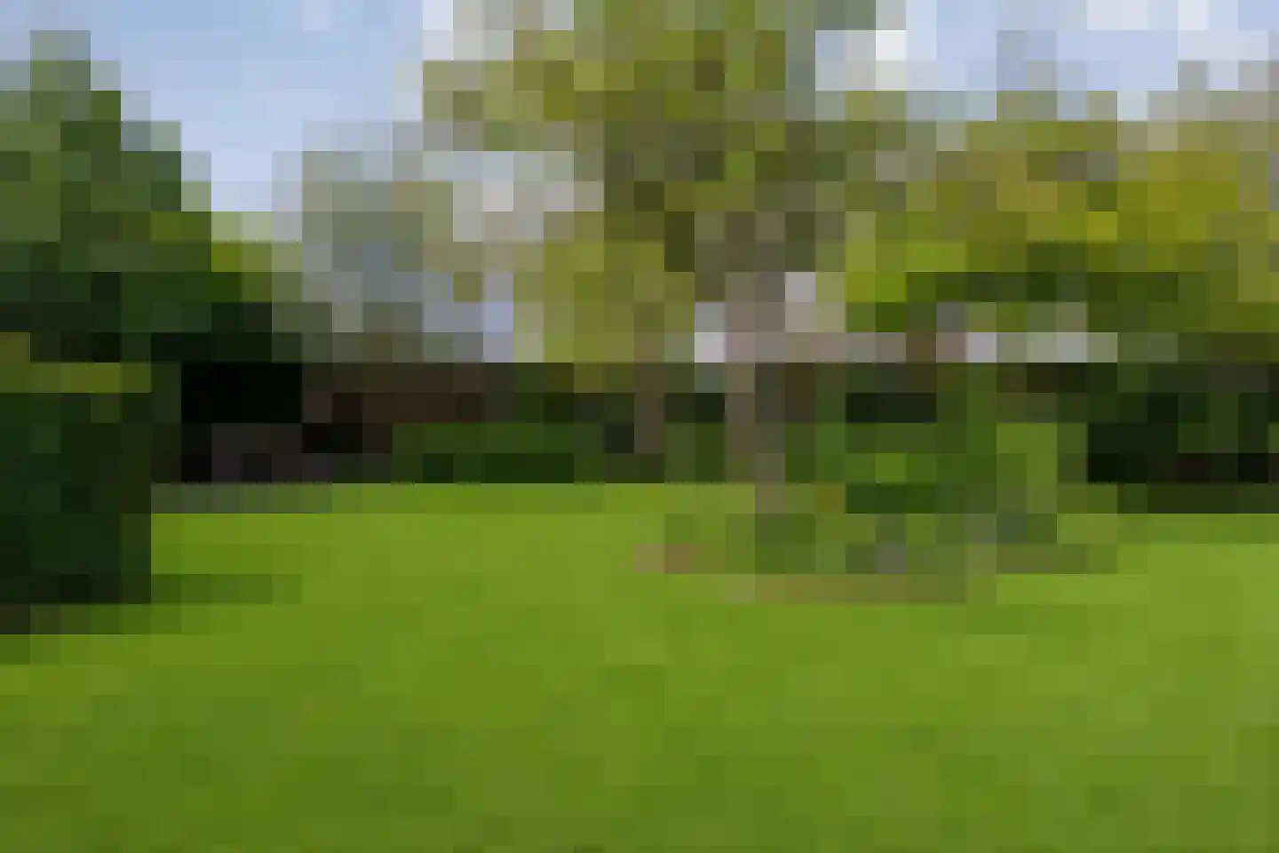 Biezenkamp 37 Oosterwolde thumbnail 64