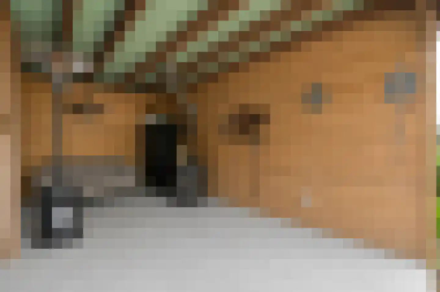 Biezenkamp 37 Oosterwolde thumbnail 69