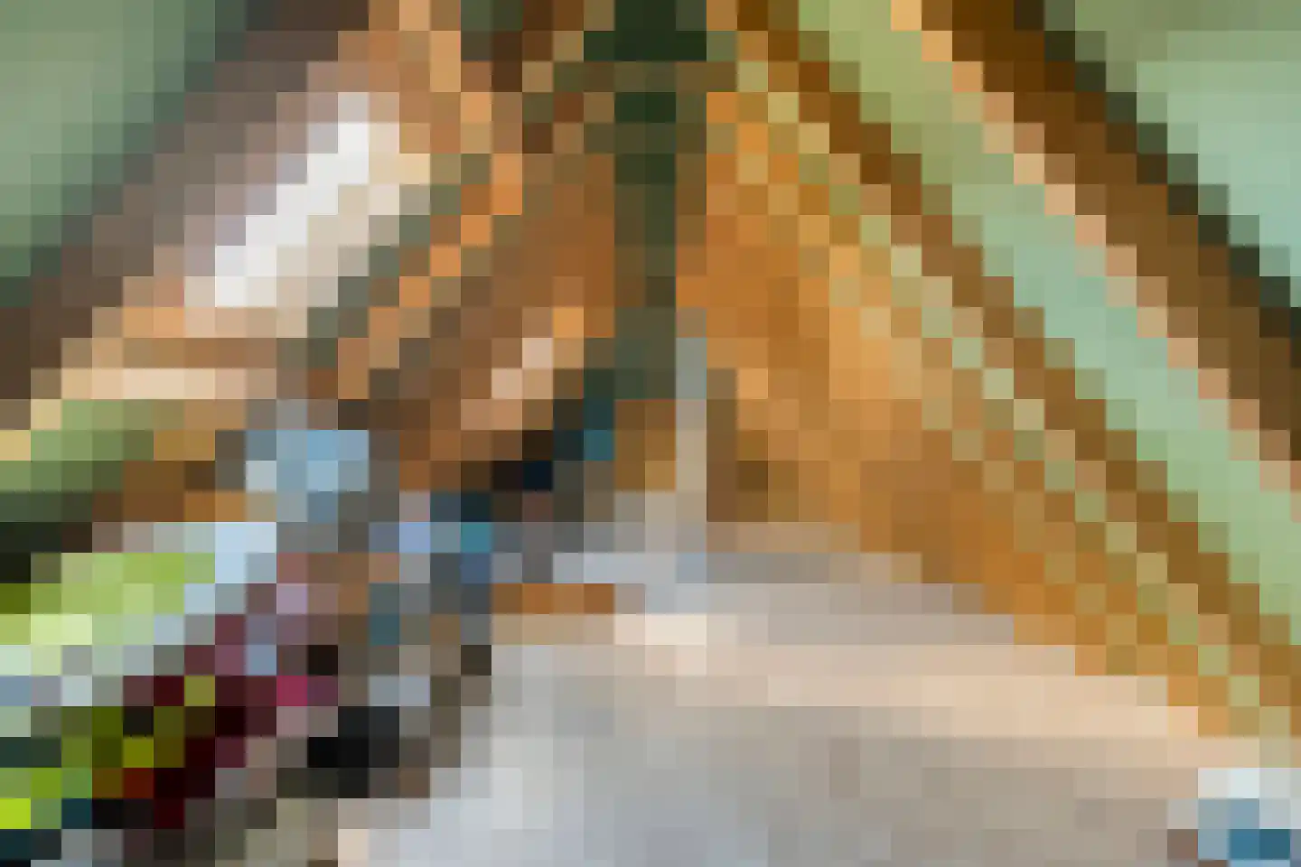 Biezenkamp 37 Oosterwolde thumbnail 72
