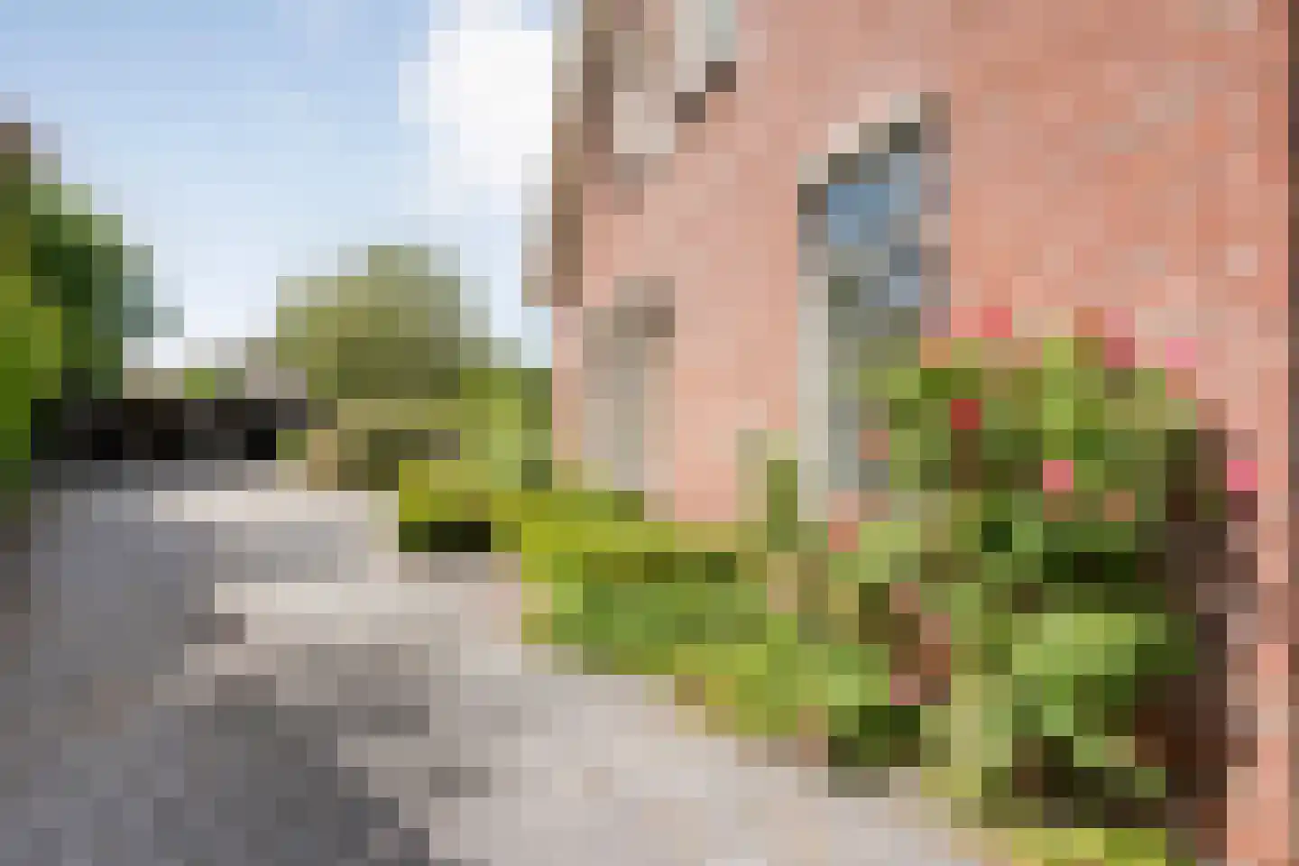 Biezenkamp 37 Oosterwolde thumbnail 9