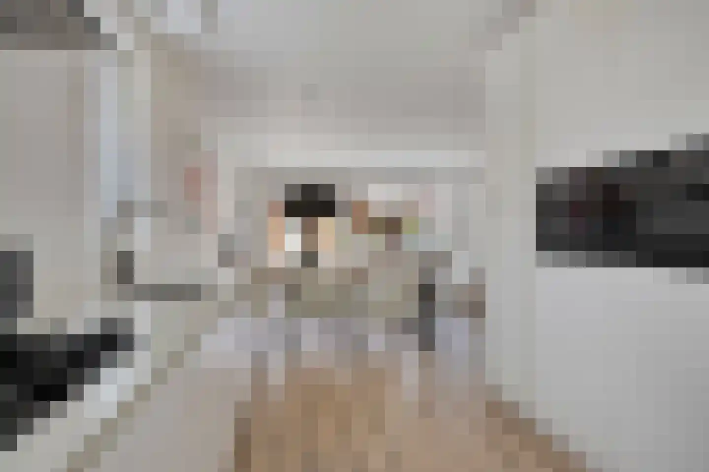 Biezenkamp 52 Wapenveld thumbnail 10