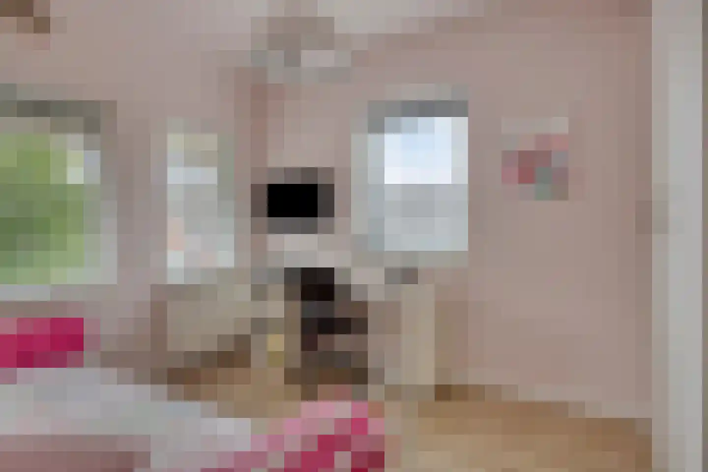 Biezenkamp 52 Wapenveld thumbnail 15