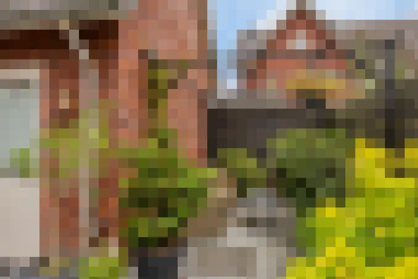 Biezenkamp 52 Wapenveld thumbnail 22